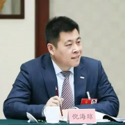 全国人大代表倪海琼：在“气代煤、电代煤”区域推广超低能耗建筑